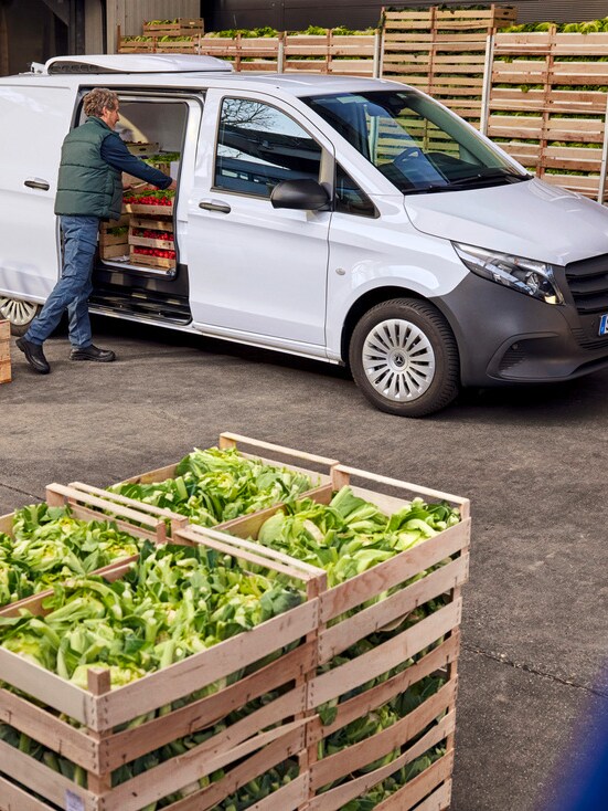 A person loading a white Vito van with a crate of vegetables.
