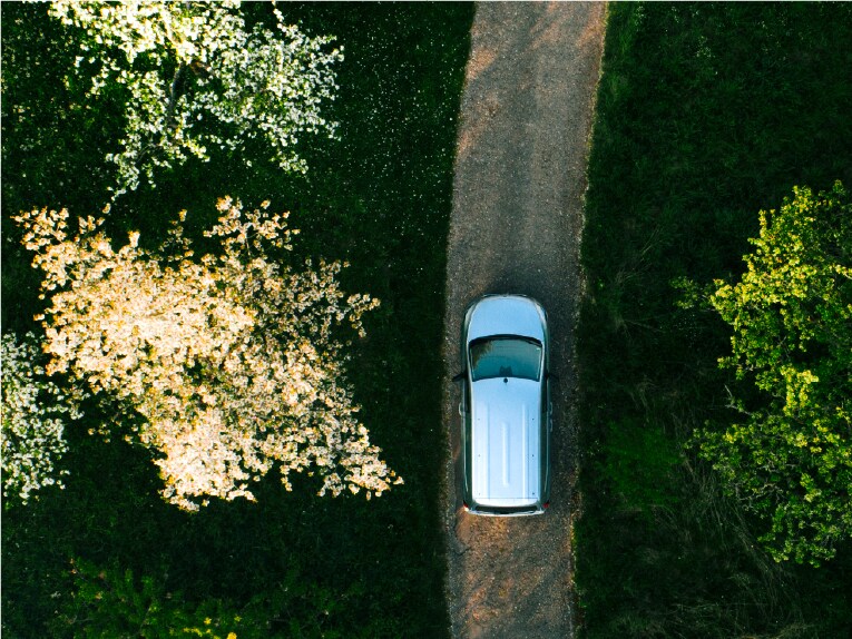 Perfect summer drives.